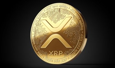 Сооснователь Ripple Джед Маккалеб продал еще 29,5 млн XRP