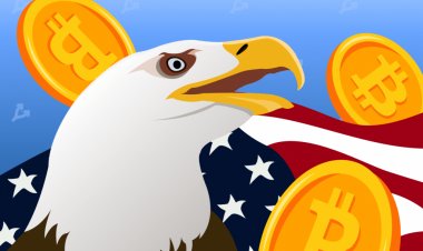 В США основателя криптовалюты обвинили в неуплате многомиллионных налогов