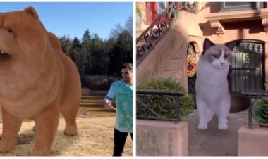 Google добавила 50 новых 3D-моделей животных в свой поисковик