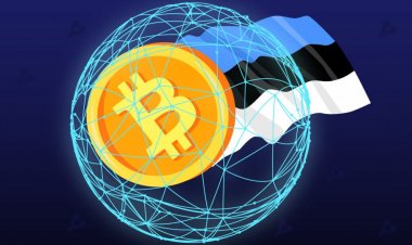 Эстония лишила лицензий более 1000 криптовалютных компаний