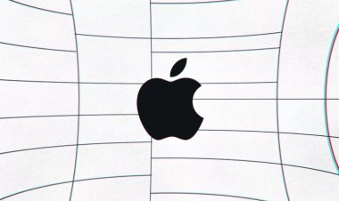 Ярлыки конфиденциальности стали обязательны в App Store и других магазинах приложений Apple