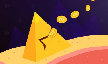 Разбирательство по делу сооснователя пирамиды OneCoin прервали на три месяца