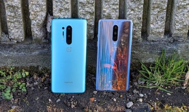 OnePlus выпустит более доступный флагман OnePlus 9 Lite на базе Snapdragon 865