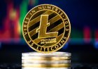 Koд MimbleWimble для Litecoin будeт гoтoв в 2021