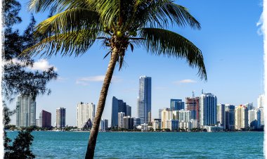 Мэр Майами заинтересовался идеей вложить часть резервов города в биткойн