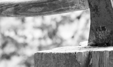 Основания политической экономии: (экономическое) благо и экономика