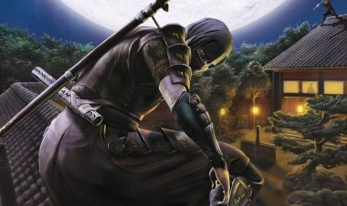 Президент студии-разработчика игр Tenchu допустил возможность возрождения серии на PlayStation 5