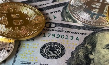 Хотите пораньше выйти на пенсию? Добавьте биткойн в ваш инвестиционный портфель