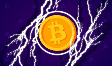 Стартап Zap запустит сервис трансграничных переводов на основе Lightning Network