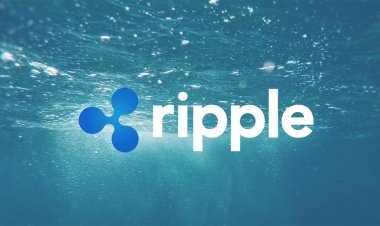 Глава Ripple раскрыл новые детали по иску SEC