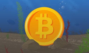 Трейдер рассказал, насколько вероятна коррекция цены биткоина