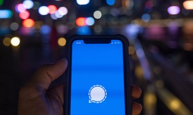 Вместо WhatsApp: Илон Маск порекомендовал Signal, и теперь в мессенджере наплыв желающих