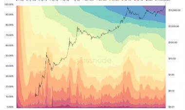 Серфинг по HODL-волнам: обзор 2020 года
