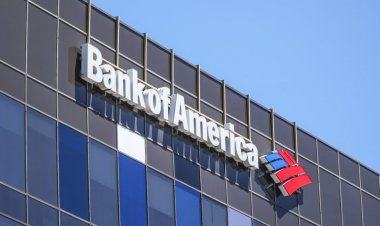 В Bank of America назвали биткойн «худшим из всех пузырей»