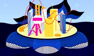 Glassnode: биткоин-киты воспользовались мощным откатом для наращивания позиций