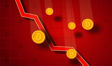 Трейдер рассказал, какие уровни ждут биткоин после падения цены ниже $30 000