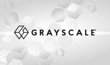 Grayscale Investments возобновила прием инвестиций в криптовалютные фонды