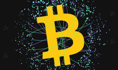 Исследование: 8000 добытых в 2010 году биткоинов принадлежат Coinbase