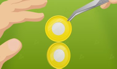 BIS: две трети опрошенных центробанков изучают стейблкоины