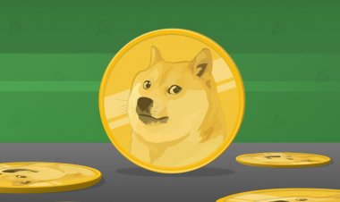 Dogecoin выросла на 41% за сутки и обновила максимум. Монету поддержал Снуп Дог