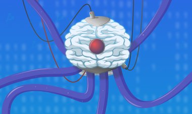 Инженер закрыл церковь ИИ, алгоритм обучили определять летальность COVID-19 и другие события из мира ИИ