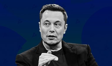 Илон Маск объяснил Питеру Шиффу, что такое деньги