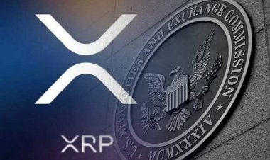 Бывшaя пpeдceдaтeль SEC: Иcк пpoтив Ripple oшибoчeн