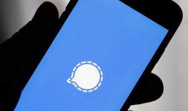 Мессенджер Signal перестал работать в Китае — возможно, его заблокировали