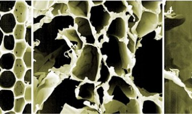 Учёные стали ближе к созданию деревянных полов, которые способны вырабатывать электричество