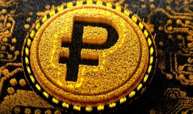 Сформирована первая пилотная группа для тестирования цифрового рубля