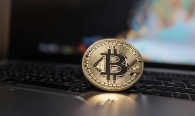 Число владельцев криптовалют в мире достигло 562 млн — крипта есть у каждого тринадцатого