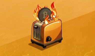 Надо было покупать: новая жизнь благодаря Neuralink, миллион биткоинов в ETF и взлет Notcoin 