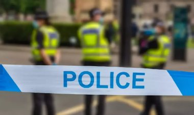 Полиция Турции задержала 127 человек за организацию криптопирамиды Smart Trade Coin STC