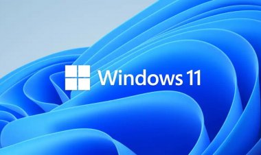 После установки Windows 11 24H2 на компьютерах пропадают некоторые приложения — и это не баг, а фича
