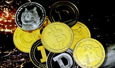 СК завёл уголовное дело на создателей криптобиржи Cryptex: 96 задержанных, 148 обысков