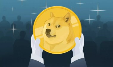 Bloomberg: «король мем-коинов» Dogecoin — больше не шутка