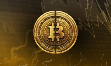 Canaccord: криптовалюты опередят акции по темпам роста