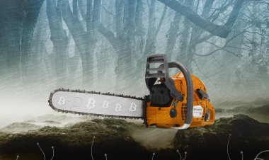 Пилите, Хавьер, пилите. Что изменилось в Аргентине за год с «криптопрезидентом»