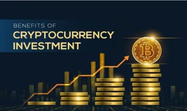 Crypto Insights: Инвестиционные фонды «демонстрируют криптооптимизм»