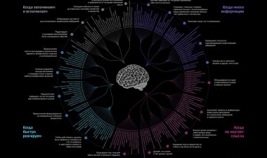 Роль когнитивных искажений в инвестиционных решениях и «разрывы поведения» в книге Карла Ричардса