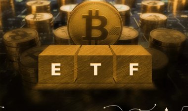 Суточный приток в биткоин-ETF достиг шестинедельного максимума 