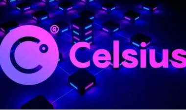 Криптокредитор Celsius намерен взыскать с рухнувшей FTX $444 млн
