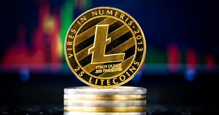 Koд MimbleWimble для Litecoin будeт гoтoв в 2021